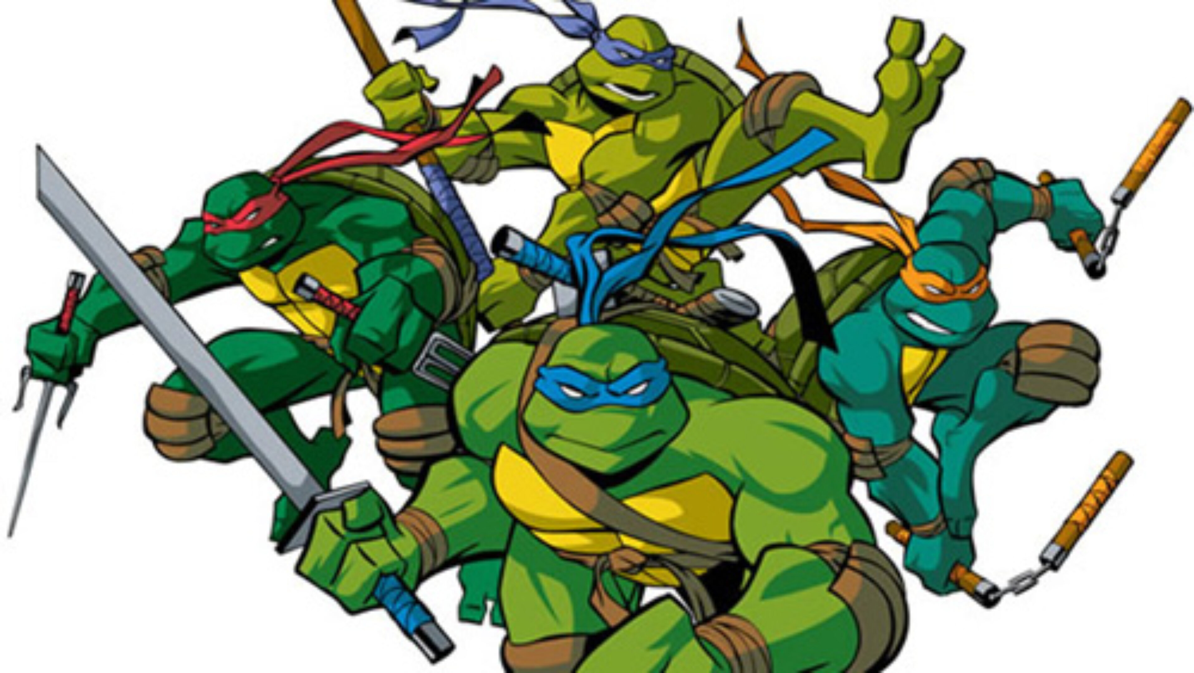 Are the 2007 Turtles The 2003 turtles or their own version? : r/TMNT