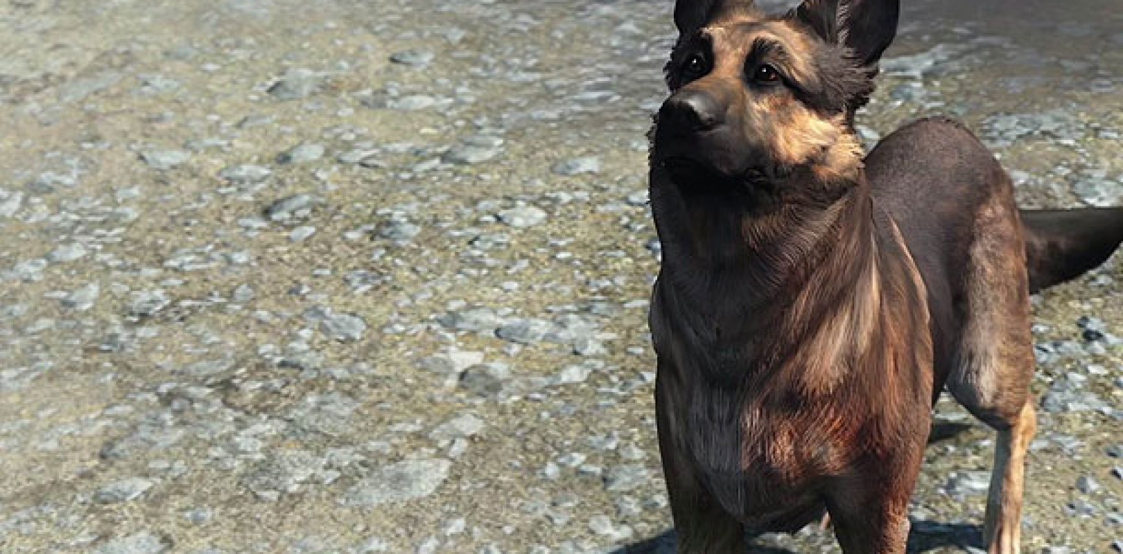 send companion away in fallout 4